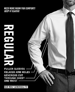 Van Heusen Men's Pinpoint Regular Fit Stripe Button Down Collar Dress Shirt